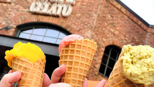 Vivoli Il Gelato expands beyond Walt Disney World with Flamingo Crossings location planned