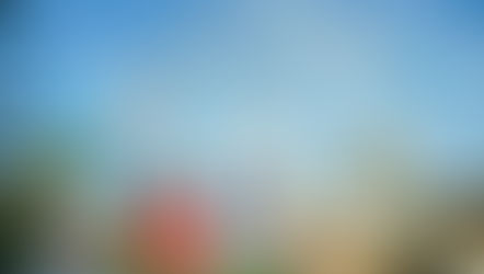 Best February EVER! Business, Travel & Lodging All Up In February!!