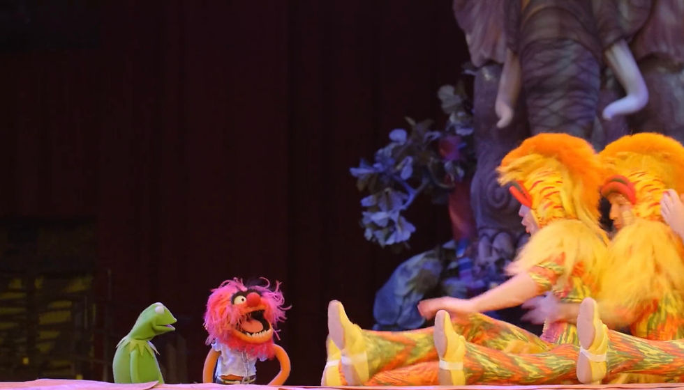 Kermit the Frog & Animal visit Animal Kingdom