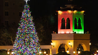 Cranes Roost Park shines bright for the Holidays with Light Displays, Music, Movies, and Santa
