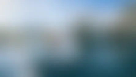 The Ultimate Guide to Valentine's Day in Orlando