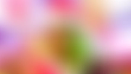 The Best Things To Do in Orlando this Weekend, December 19 - 21, 2025