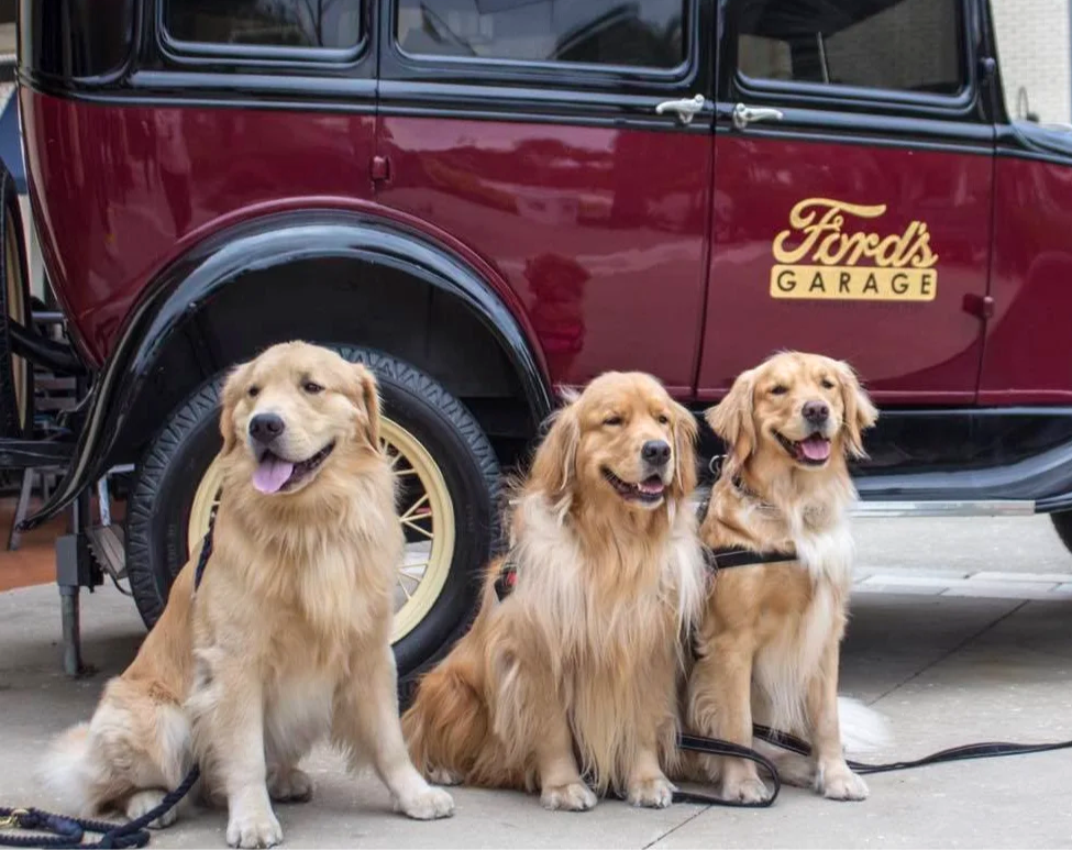 Pets On The Promenade at Sunset Walk Kissimmee