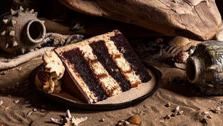 Gideon's Bakehouse adds a delicious Sea Turtle Cake to help Florida's Sea Turtle Conservancy