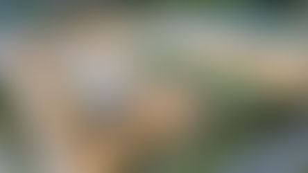 Popstroke shares opening timeline for new Hamlin-Winter Garden location