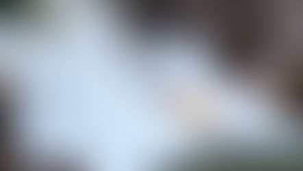 Jurassic Park River Adventure At Islands Of Adventure Closing For Refurbishment In January