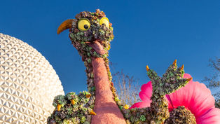 The Best Things To Do in Orlando this Weekend, April 11 - 13, 2025