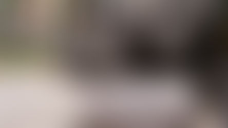 Get ready to Party For The Planet at Central Florida Zoo this Earth Day