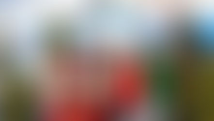 Winter Village at Tampa's Curtis Hixon Park is back for the holidays, now through Jan. 4