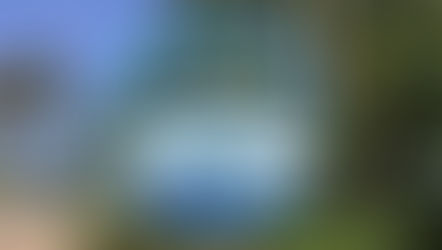 SeaWorld Orlando reveal new attraction, World's First Fully Immersive Arctic Flying Theater opening in Spring 2025