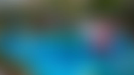 Gatorland introduces brand new water features to its popular Gator Gully Splash Park