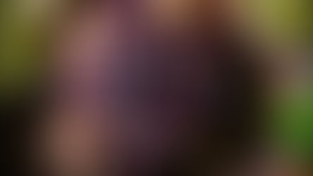 Check out the August goodies at Gideon's Bakehouse including the return of popular Key Lime Chocolate Chip Cookie