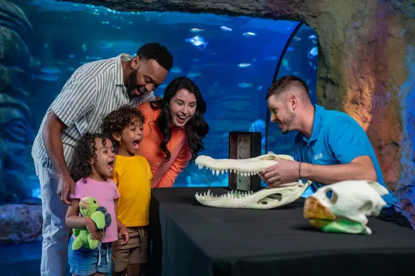 Dive into the magic of Mermaids at SEA LIFE Orlando Aquarium on select dates this May