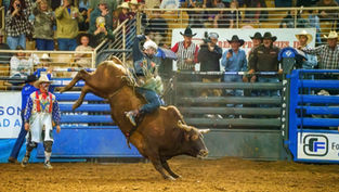 Saddle up Kissimmee as the 155th Annual Silver Spurs Rodeo rides back into town