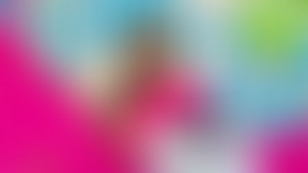 Kristina Lavallee, aka "The Cake Girl" looks to open one of her first franchised locations in Orlando