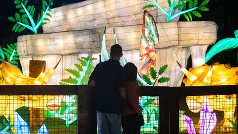 Free & Cheap Things To Do In Orlando This Weekend, November 22 - 24, 2024