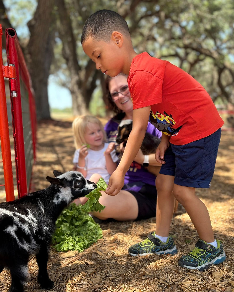 Enjoy "Summer Cool" at Green Meadows Petting Farm with amazing specials now through August