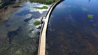The City Of Orlando Celebrates The Opening Of New 2,200-Foot Boardwalk At Orlando Wetlands Park