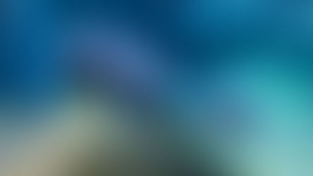 Manatees rehabilitated at Ohio Zoos flown back to SeaWorld Orlando & ZooTampa to prepare for return to home waters