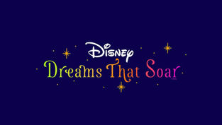 New Drone Show - Disney Dreams That Soar is taking to the skies at Disney Springs this summer!