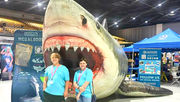 Sink your teeth into SharkCon, returning to Tampa's Florida State Fairgrounds, July 18 - 19