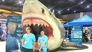 Sink your teeth into SharkCon, returning to Tampa's Florida State Fairgrounds, July 18 - 19
