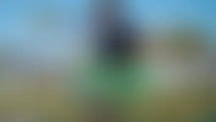 Celebrate the Rich Scottish Culture at the Mount Dora Scottish Highland Festival!