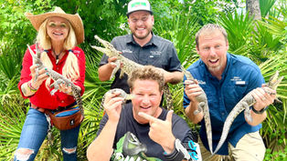 Free & Cheap Things To Do in Orlando this Weekend, May 29 - 31, 2026