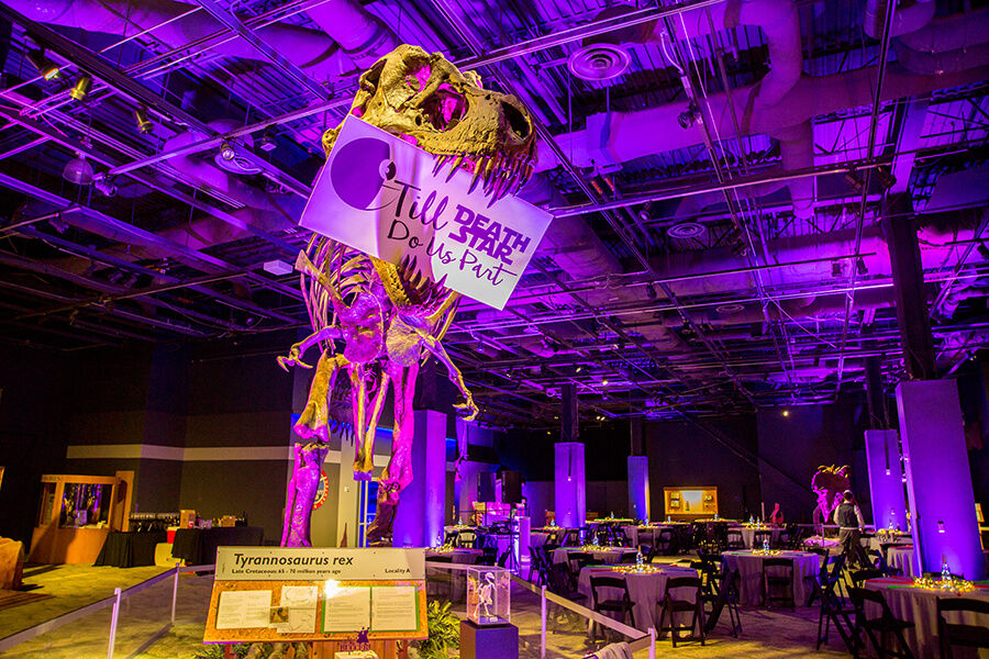 Orlando Science Center hosting an evening of wedding inspiration at the Unveil Wedding Showcase