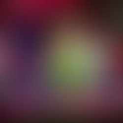 Three More Dates For This Year's Mickey's Very Merry Christmas Party At Magic Kingdom