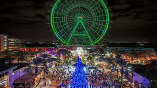 It's beginning to feel a lot like Christmas on International Drive! Join in the fun at the I-Drive District Holiday Tree Lighting