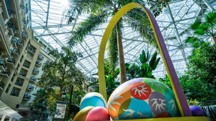 Once Upon A Spring Returns To Gaylord Palms!