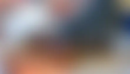 Oink-tastic News as The 26th Annual Lakeland Pigfest BBQ Festival Returns Soon!