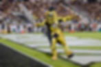 UCF Knights
