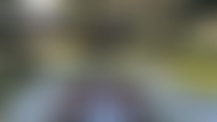 Celebrate as Chabad of Greater Orlando welcome the First Night of Chanukah on Park Ave!