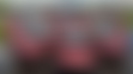 Minnie Van Service Accepting Disney College Program Transfer Applications