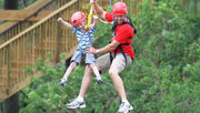 Experience Gatorland’s Screamin’ Gator Zipline now with $27 Off weekdays through November 15