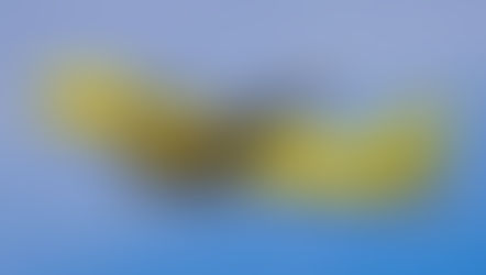 Spirit Airlines Takes Flight Between Orlando, Florida & San Antonio, Texas