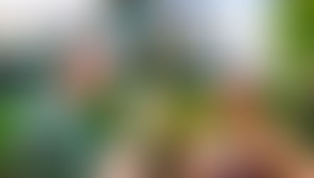 Cheers to Summer! Ice-Cold FREE Beer is back at Busch Gardens Tampa Bay