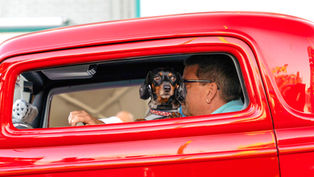 Bring your furry friends to a Waggin Great Weekend at Old Town in Kissimmee