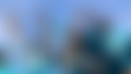 The Jacksonville Jaguars to play 2027 Home Games at Orlando's Camping World Stadium 