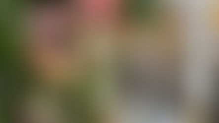 Popular Winter Park restaurant Farm and Haus announces closure