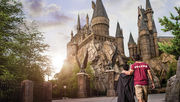 Universal Orlando joins worldwide 'Going Back to Hogwarts' Celebration in The Wizarding World of Harry Potter