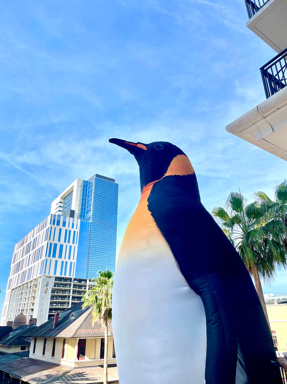 SeaWorld Orlando introduces Western Hemisphere’s only Emperor Penguins to Florida
