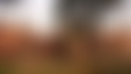 Up To 30% Discount At Disney World Resort Hotels For Disney Visa Cardmembers