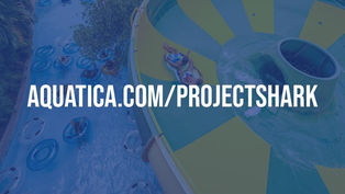 Aquatic Orlando tease Project Shark, a new Attraction coming to the Water Park