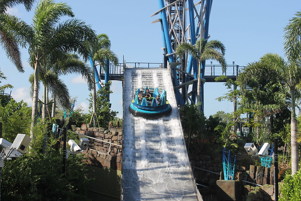 SeaWorld Orlando Unwrap Their 2022 Black Friday Sale