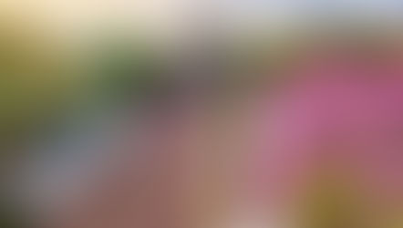 Today Is Small Business Saturday, Where To Shop Local In Orlando! 