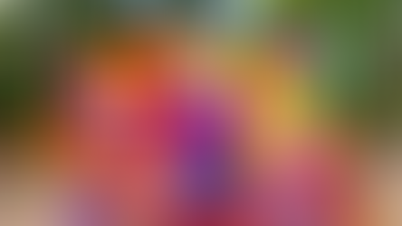 Es Tiempo De Fiesta! Celebrate Cinco de Mayo this weekend at Busch Gardens Tampa Bay