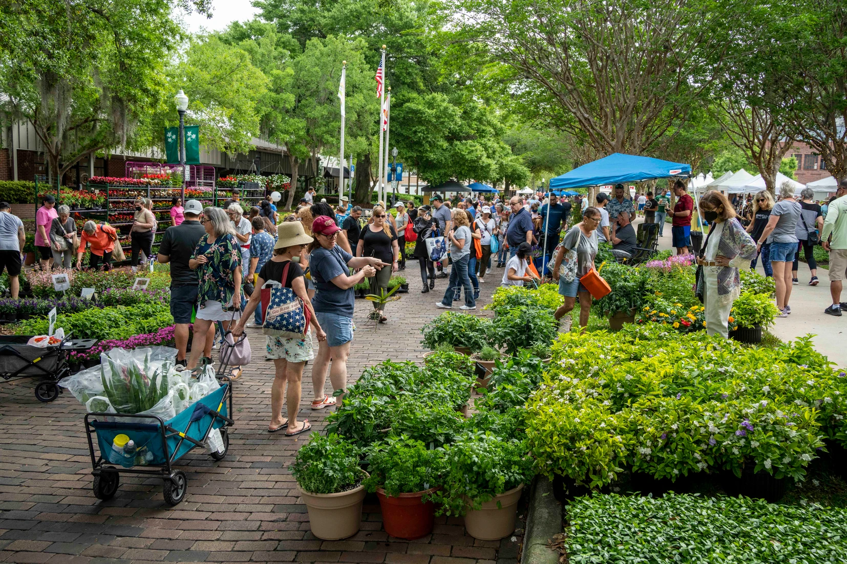 Central Florida Events And Festivals Gotta Go Orlando Going Out Guide
